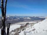 19. pogled